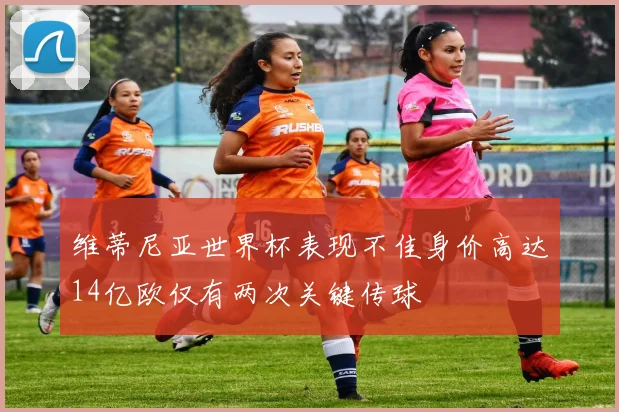 维蒂尼亚世界杯表现不佳身价高达14亿欧仅有两次关键传球