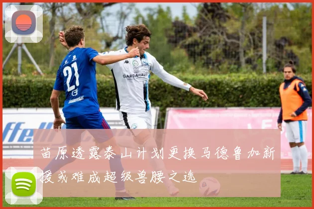 苗原透露泰山计划更换马德鲁加新援或难成超级兽腰之选
