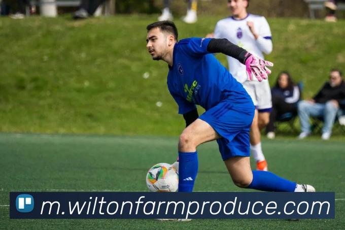 多彩内容专区